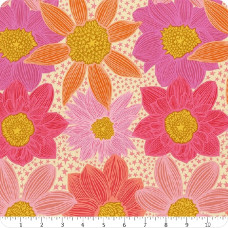 AMT Stars & Stripes - Pink AMT Stars & Stripes - Pink