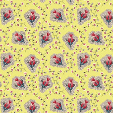 Peasholme Green - Cordelia Peasholme Green - Cordelia