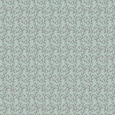 Peasholme Green - Viola Peasholme Green - Viola