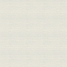 Stripes - Cream Stripes - Cream
