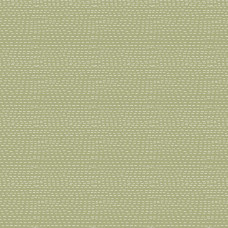 Stripes - Green