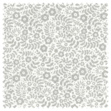 Daisy Dance L.C.