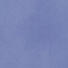 Powder Blue LN54