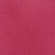 Raspberry LN22